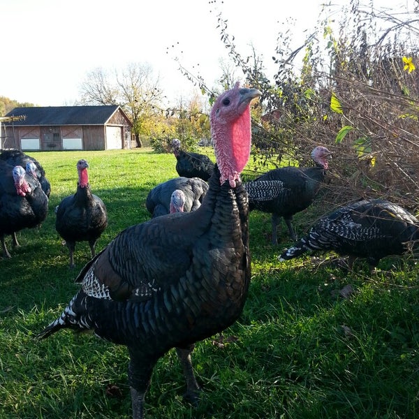 Photo prise au Sprout Creek Farm par Gloria T. le10/21/2013