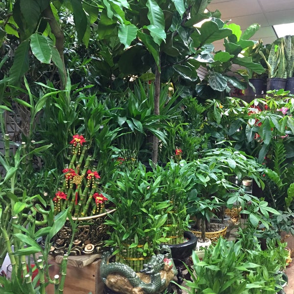 Da Hing Store Lower East Side New York, NY