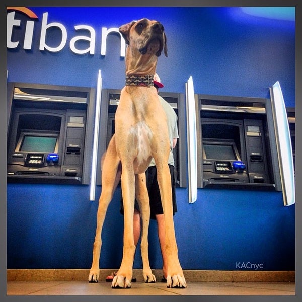 Citibank Upper East Side 1 tip from 198 visitors