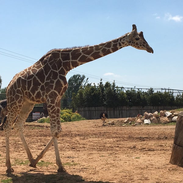 Foto diambil di Attica Zoological Park oleh Yannis D. pada 4/21/2019