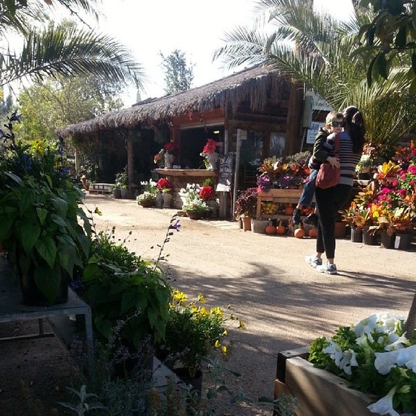 Whitfill Nurseries South Mountain Phoenix, AZ