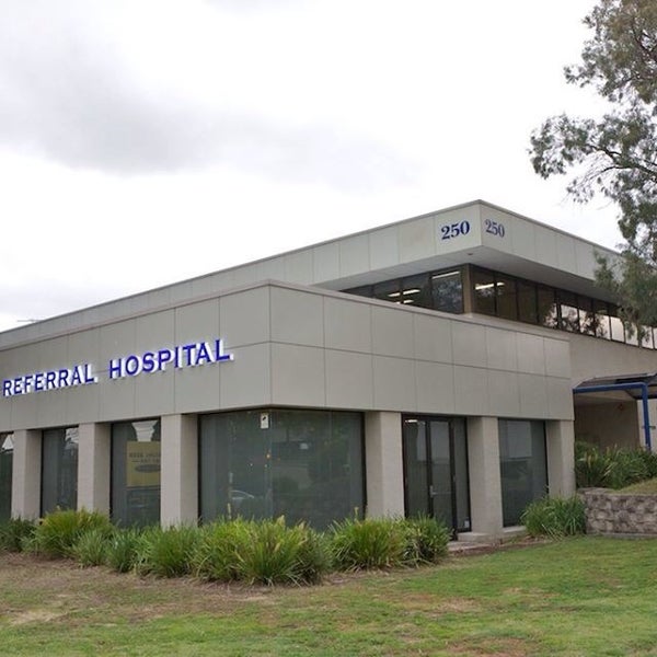 Photos at Animal Referral Hospital - Homebush, NSW