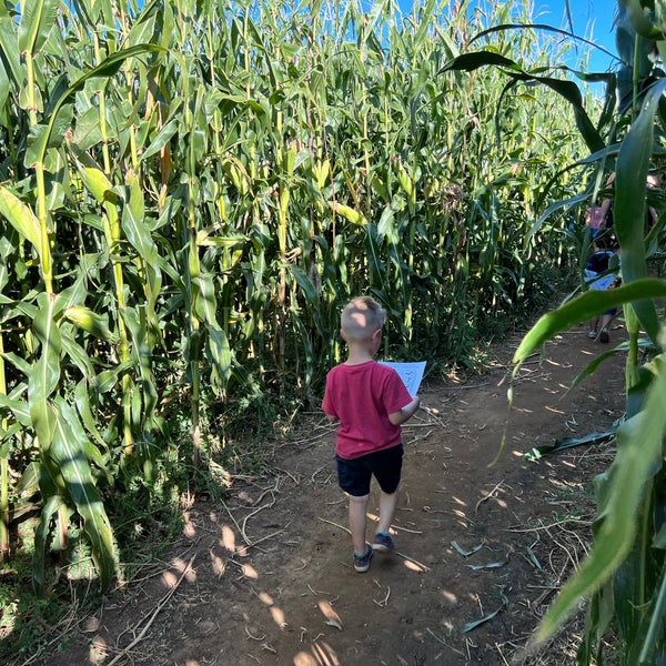 spearfish corn maze & pumpkin patch Farm