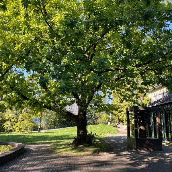 Alter Botanischer Garten Park in Zürich