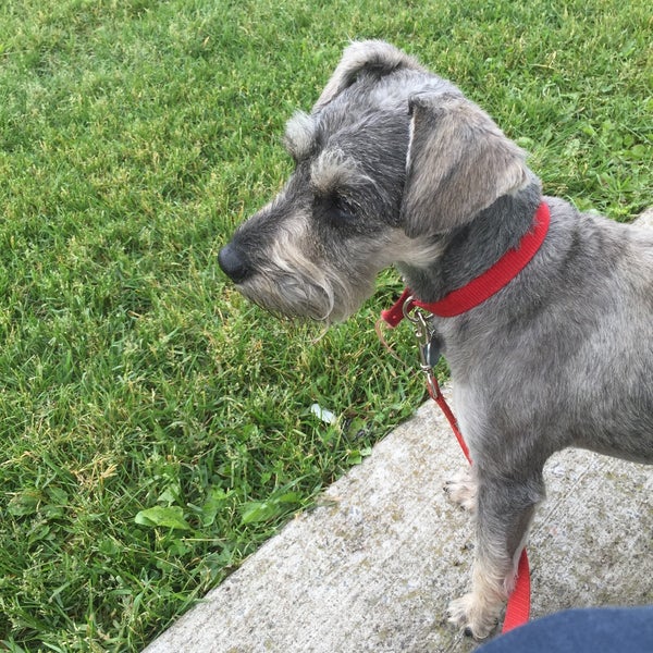 Parc StJeanBaptiste PointeauxTrembles 1 tip from 30 visitors