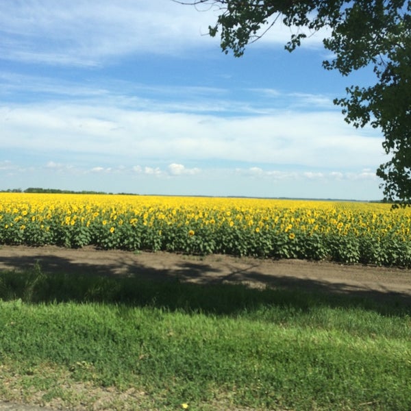 Шкуринская станица карта