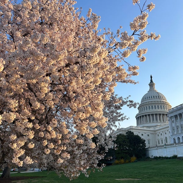 Photo taken at National Mall by Sarah J. on 3/29/2024