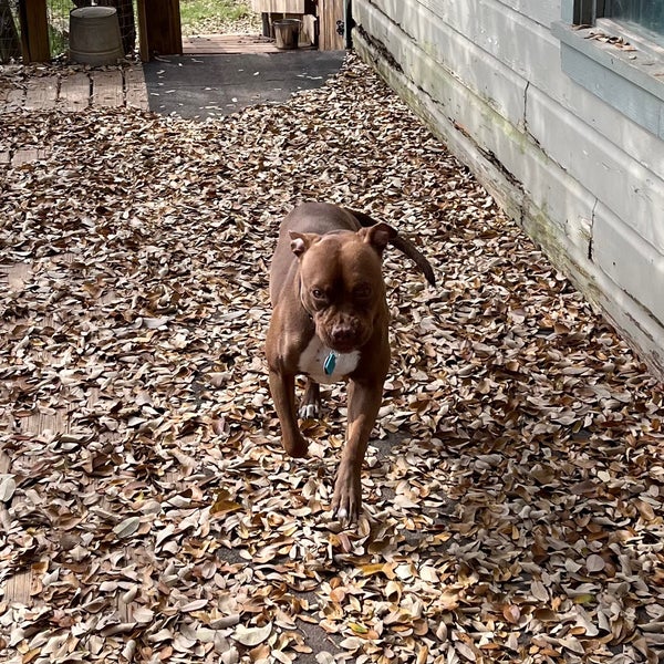 Target Big Box Store in Newhall