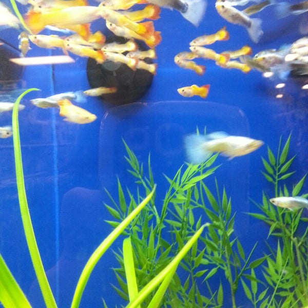 Photos At Petsmart 7 Tips From 500 Visitors