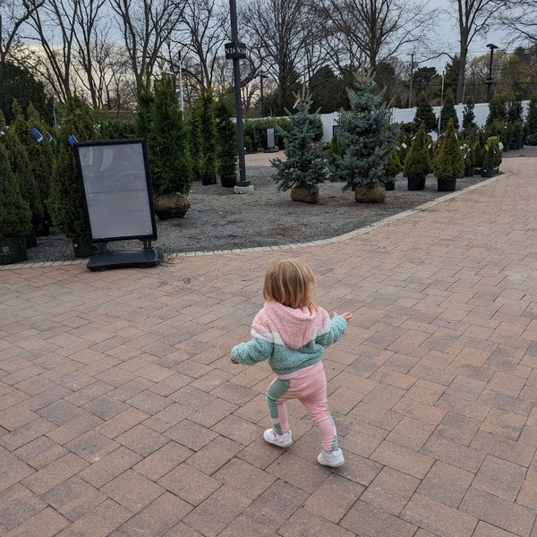 Hicks Nurseries, Inc. 31 tips