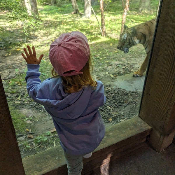 9/27/2023 tarihinde Bebe M.ziyaretçi tarafından Bronx Hayvanat Bahçesi'de çekilen fotoğraf