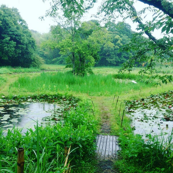Photos At トンボ自然公園 Park