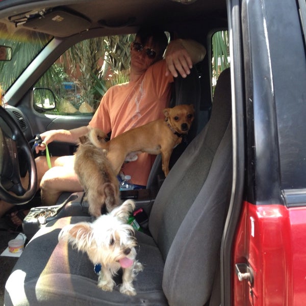 Vets Pets - Professional & Other Places