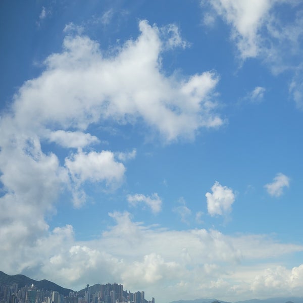 11/28/2022にWayne H.がW Hong Kongで撮った写真