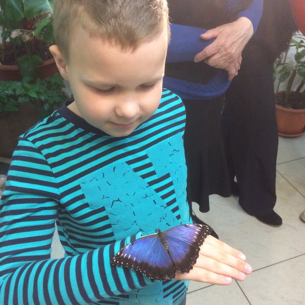5/4/2015にAnna T.がМузей живых бабочек «Тропический рай»で撮った写真