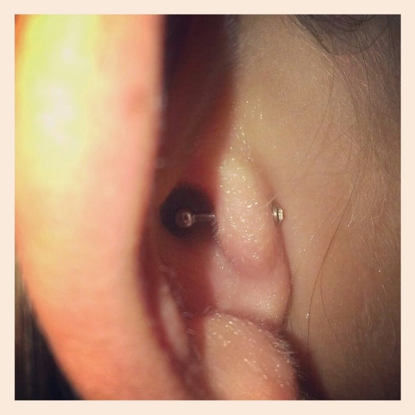 Sadu Body Piercing Plaza Midwood Charlotte NC