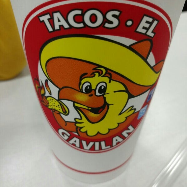 Tacos Gavilan Taco Restaurant