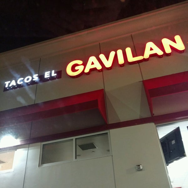 Tacos Gavilan Taco Restaurant
