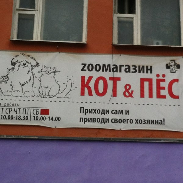 Кот и пес новокузнецк