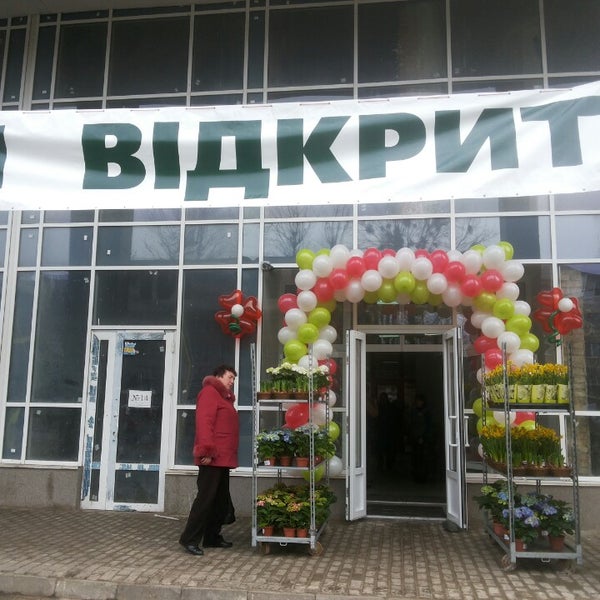 Цветов для вас магазин киев камелия, невесты сине малиновой