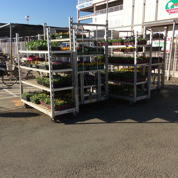 Fotos En 島忠 海老名店 海老名 海老名市 神奈川県