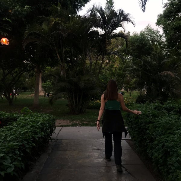 11/16/2018 tarihinde Alexey M.ziyaretçi tarafından Parque Eduardo Villena'de çekilen fotoğraf