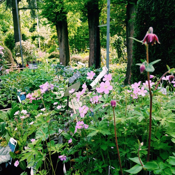 Stadskwekerij Flower Store in Zaltbommel