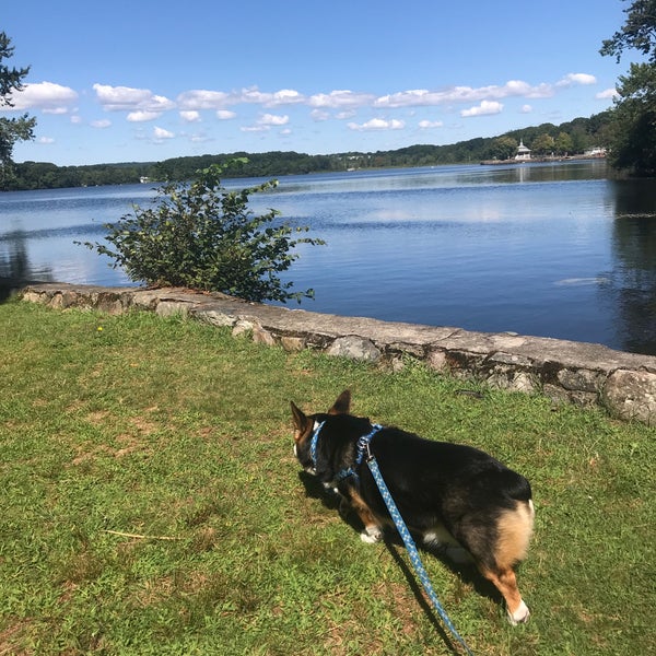 Sunset Lake Braintree - South Shore Wonders Smith Beach Braintree News The Patriot Ledger Quincy Ma Quincy Ma - Sunset lake is a lake located just 1.5 miles from braintree, in norfolk county, in the state of massachusetts, united states, near quincy, ma.