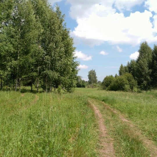 Трубино дорошиха. Трубино дорошиха. Трубино дорошиха. Станция трубино тверская область. Великий мох рыбинский.