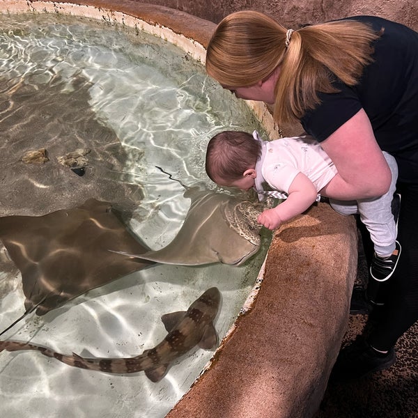 Das Foto wurde bei Long Island Aquarium &amp; Exhibition Center (Atlantis Marine World) von Jessica P. am 5/26/2023 aufgenommen