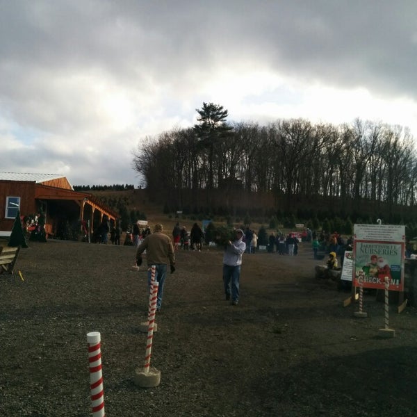 Jarrettsville Nurseries 5 tips from 166 visitors