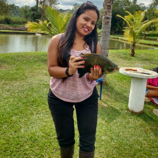 Peixe-Boi Pará fonte: fastly.4sqi.net Fonte: fastly.4sqi.net