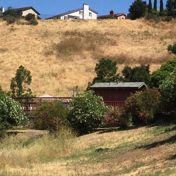 Photos at Hercules Swim Center 4 tips from 145 visitors