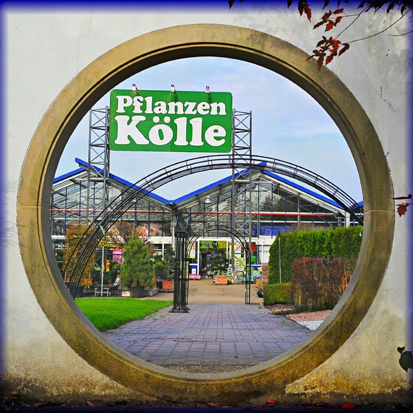 Das Foto wurde bei Pflanzen-Kölle von T. H. am 10/26/2014 aufgenommen