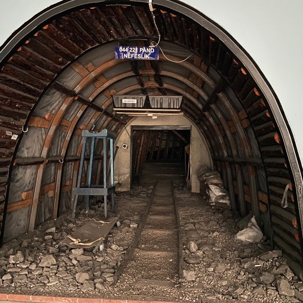 Foto scattata a MTA Şehit Cuma Dağ Tabiat Tarihi Müzesi da Mine S. il 12/26/2021