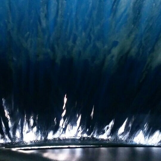 fast track car wash tracy