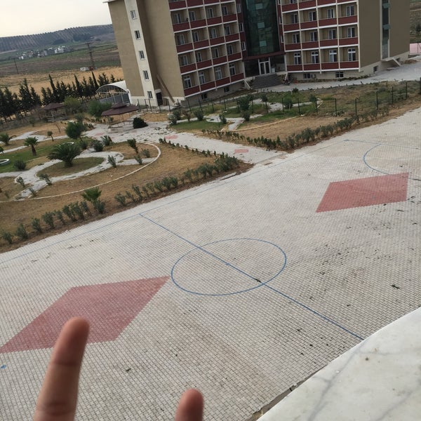 ymp4 indir arkadaş ajansı mallorca