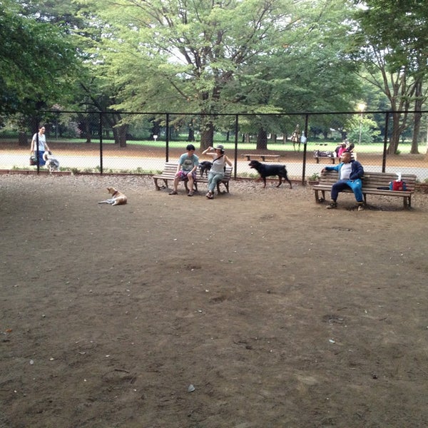 Photos At 小金井公園 ドッグラン 小金井 小金井市 東京都 Photos At 小金井公園 ドッグラン 小金井 小金井市 東京都