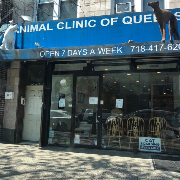 Animal Clinic Of Queens - 5 tips