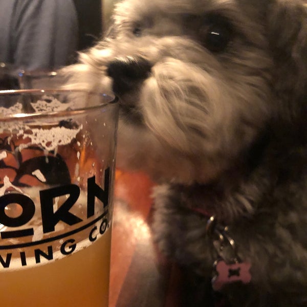 Photo taken at Thorn Street Brewery by John &quot;Gio&quot; P. on 2/17/2019