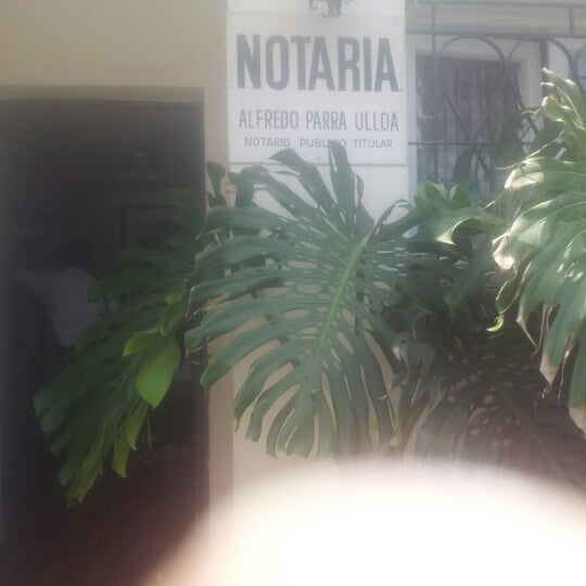Fotos en Notaria Alfredo Parra Ulloa Macul 3 tips de 111 visitantes
