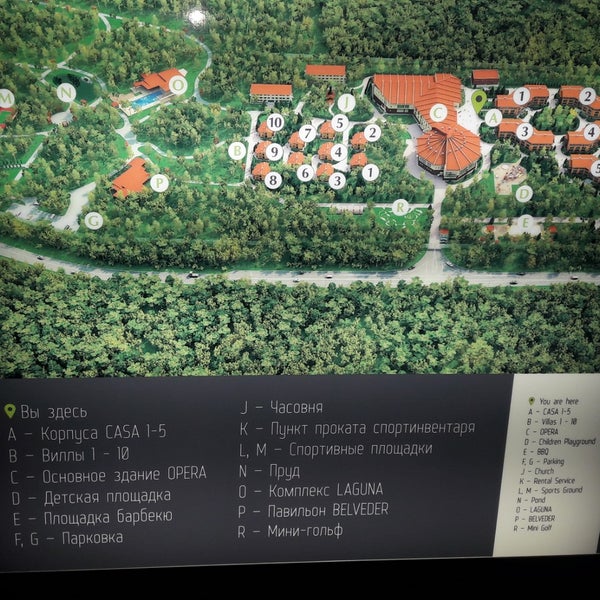 Лес арт карта