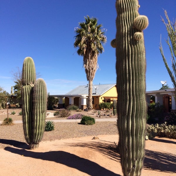 Photos At Desert Gardens Rv Park 1 Tip From 18 Visitors