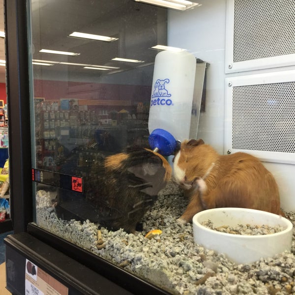 Petco Vernon Hills'de Evcil Hayvan Malzemeleri Mağazası
