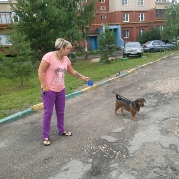 Лай собаки во дворе частного дома. Лай собаки во дворе частного дома