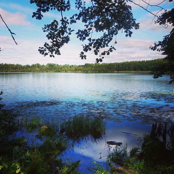 Озеро Светлояр. Озеро Светлояр Нижегородская область. Озеро Светлояр фото. Вышка на озере Светлояр.