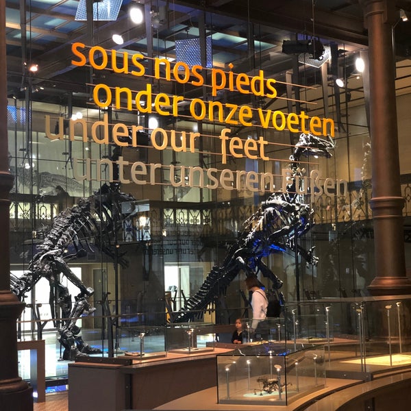 Foto diambil di Museum voor Natuurwetenschappen / Muséum des Sciences naturelles oleh Dilek S. pada 11/17/2019