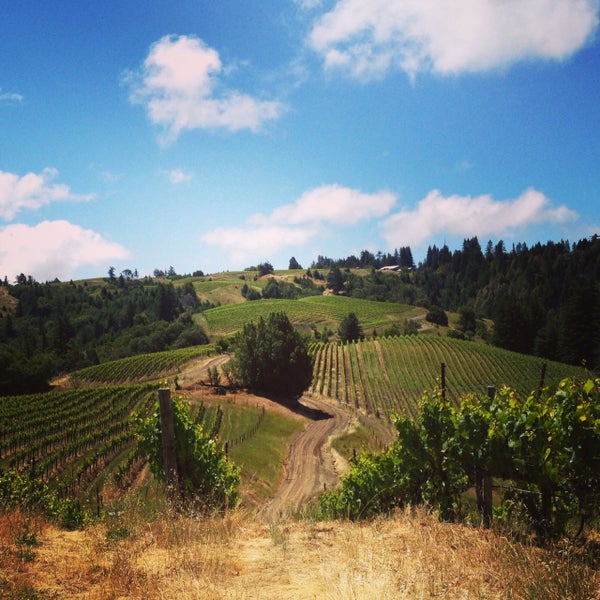 Photo taken at Hirsch Winery by Hirsch Winery on 7/14/2013
