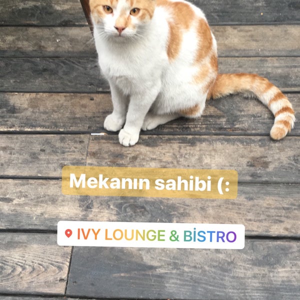Photo taken at IVY Lounge &amp; Bistro by Belgin İ. on 11/23/2019