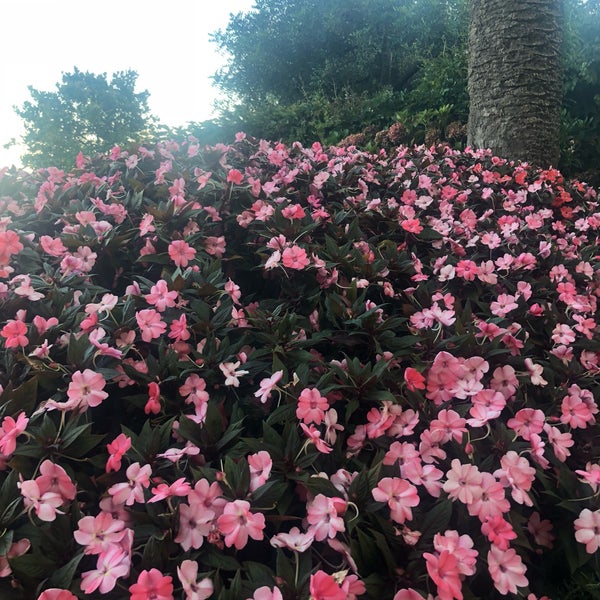 Foto scattata a Hotel Palazzo Avino da Nuran T. il 9/29/2018